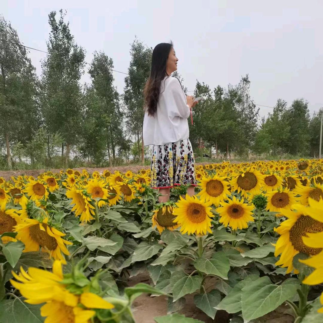 巴楚县来宝汽车服务店