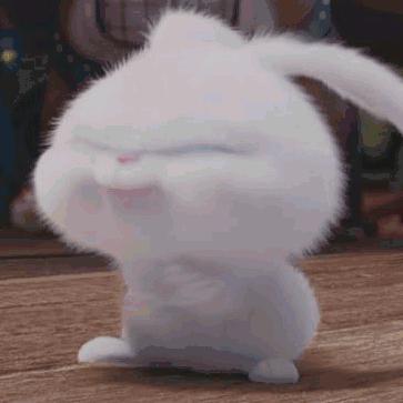 丹凤朝阳