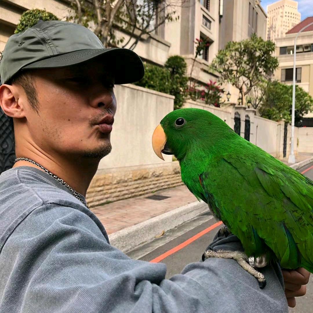 普通用户
