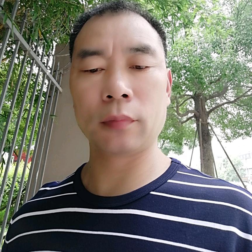 晓宏
