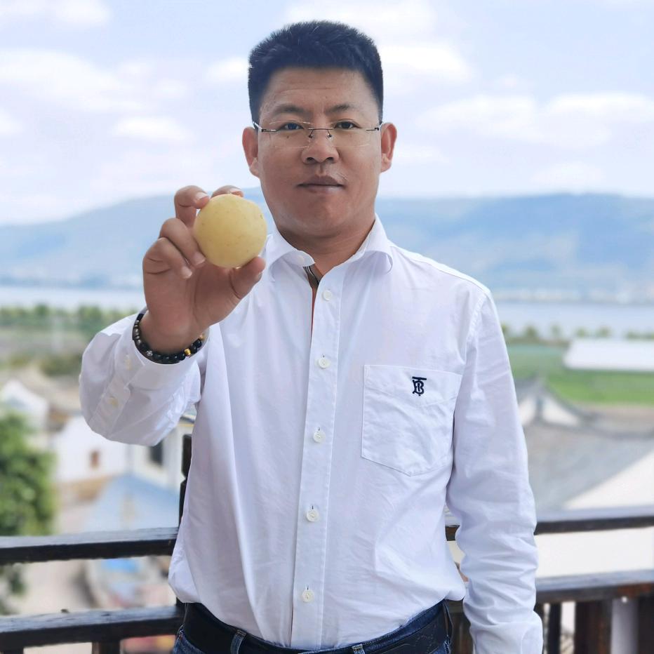 土豆先生·好田美农场