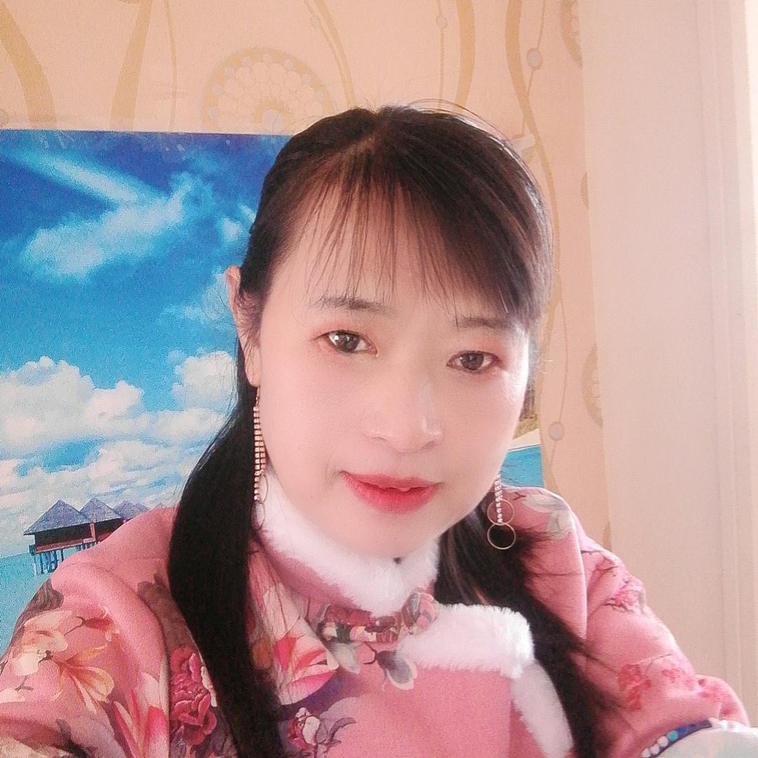 河南邹姐
