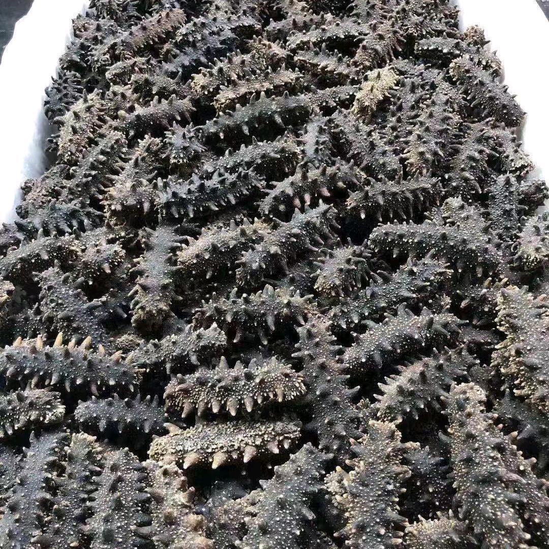 王延锋