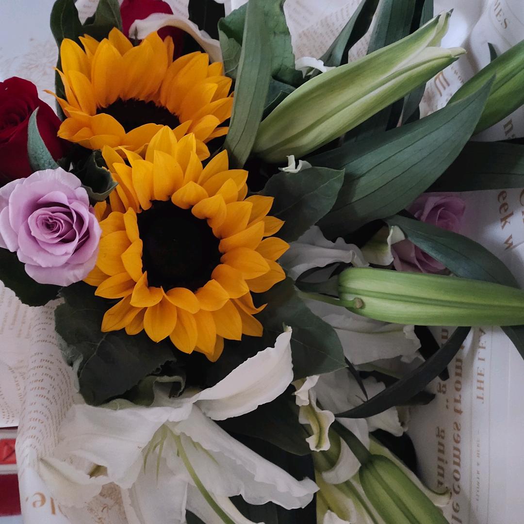 快乐逍遥_253691176