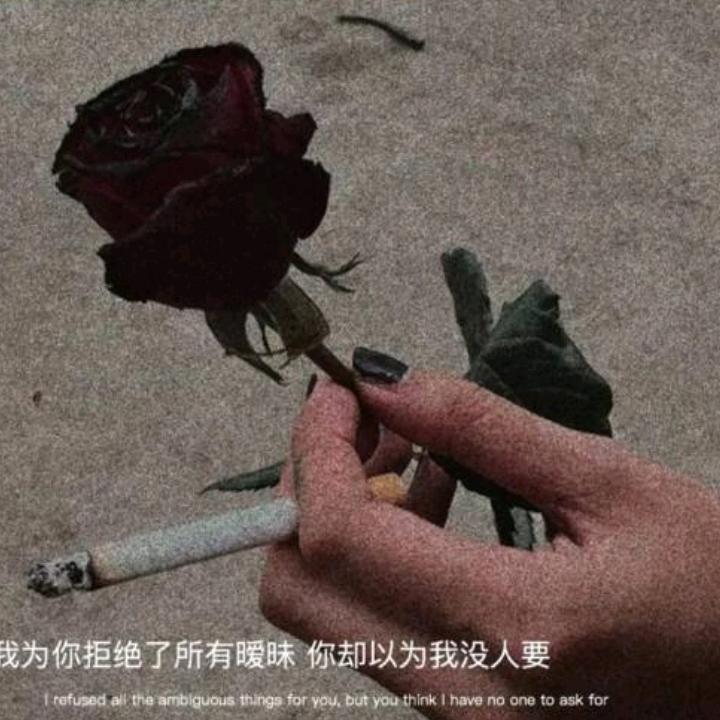 丨灬龍灬丨