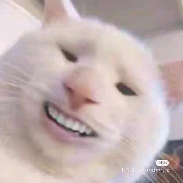 罗新才