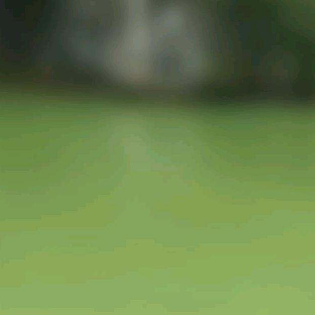 慎独一