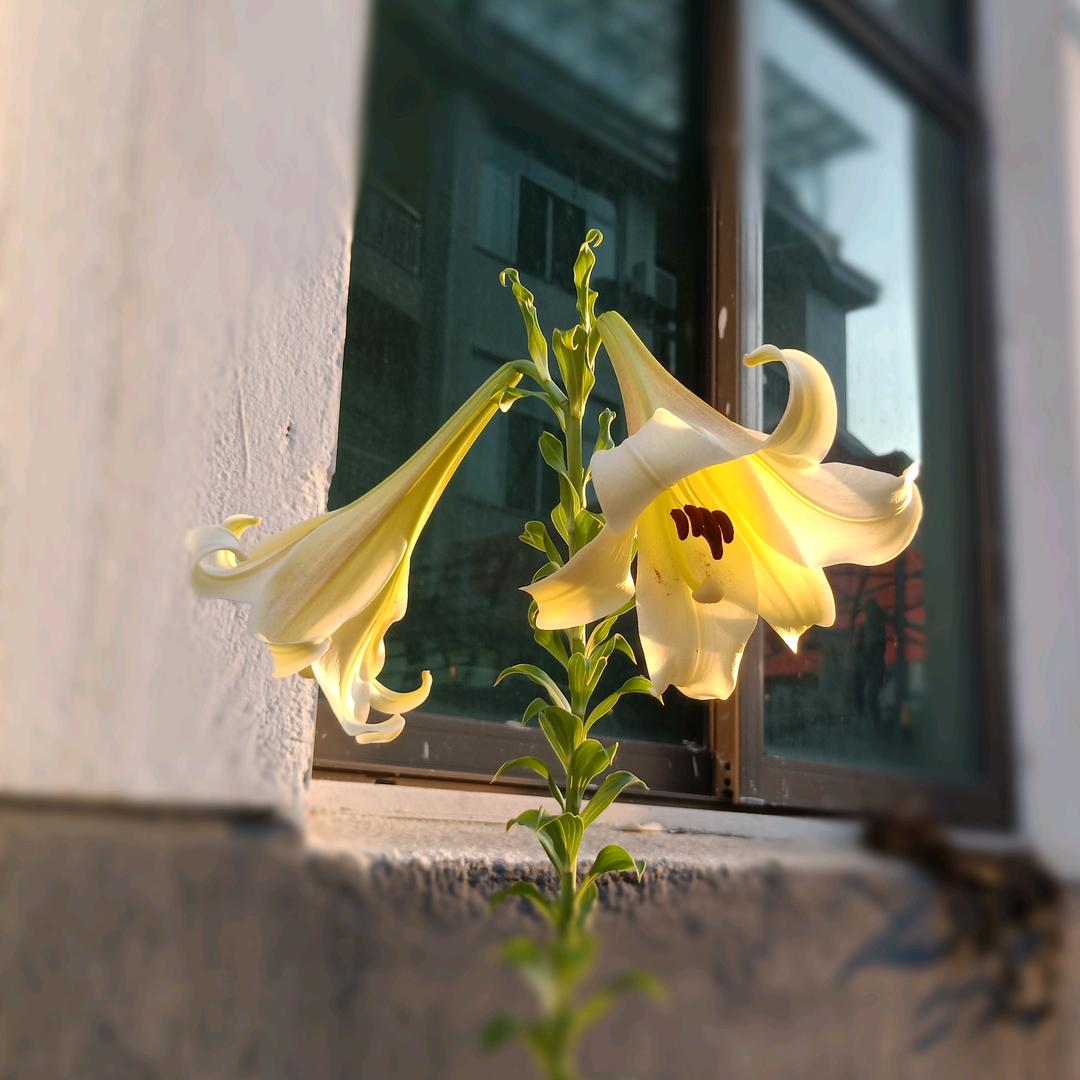 天天想徒步的姐姐