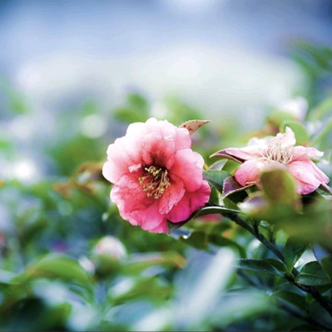 迟迟等等再慢慢