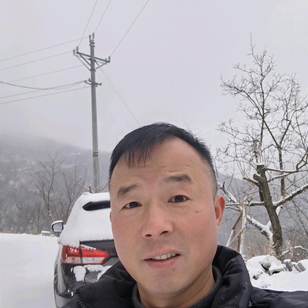 猪种司令