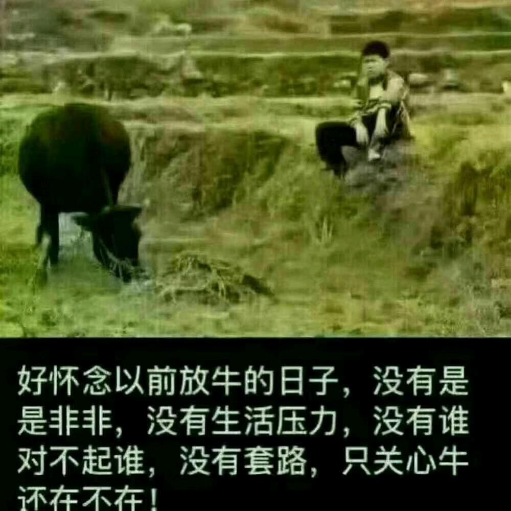 ☜海阔天空