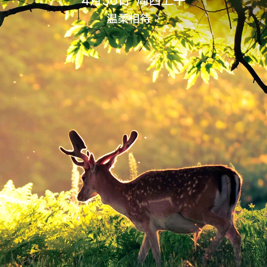 国民健康小棉袄