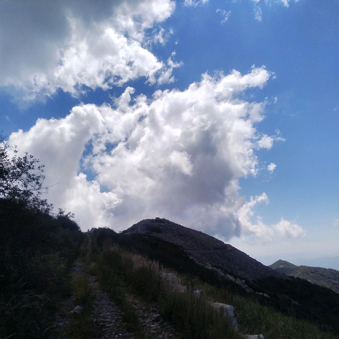 只要现在的现在