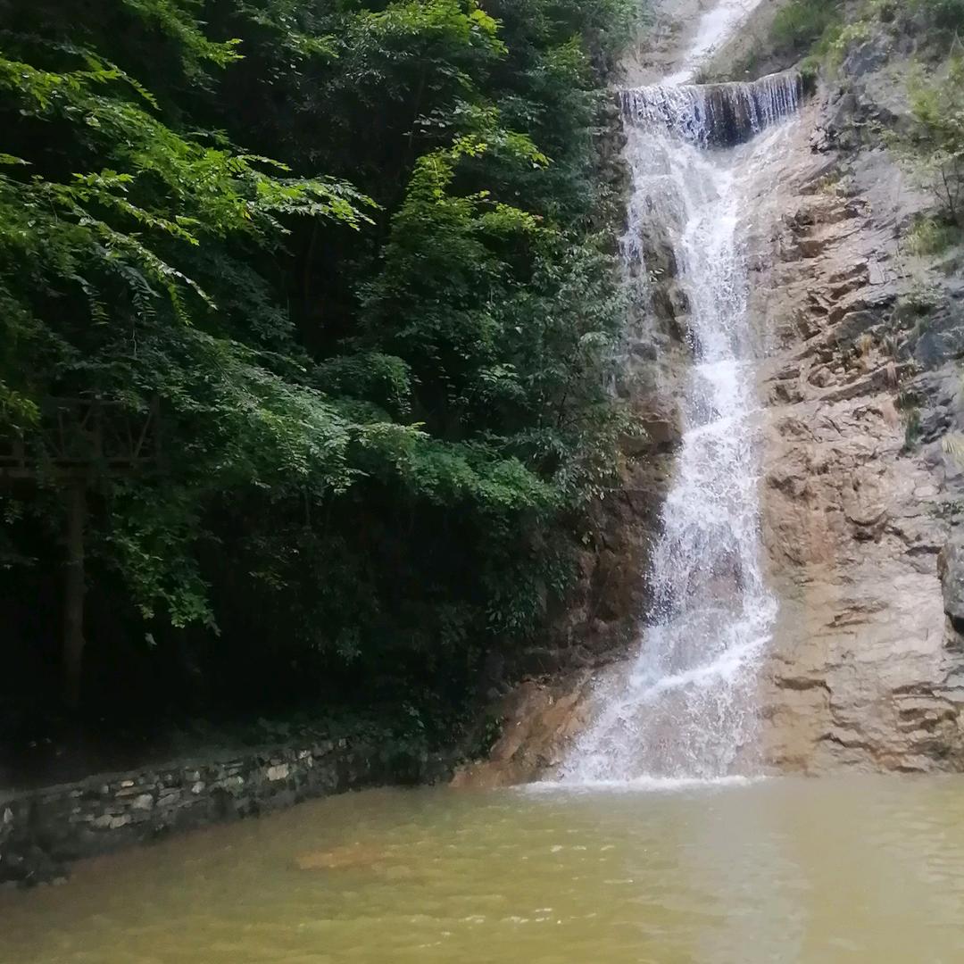 元桢