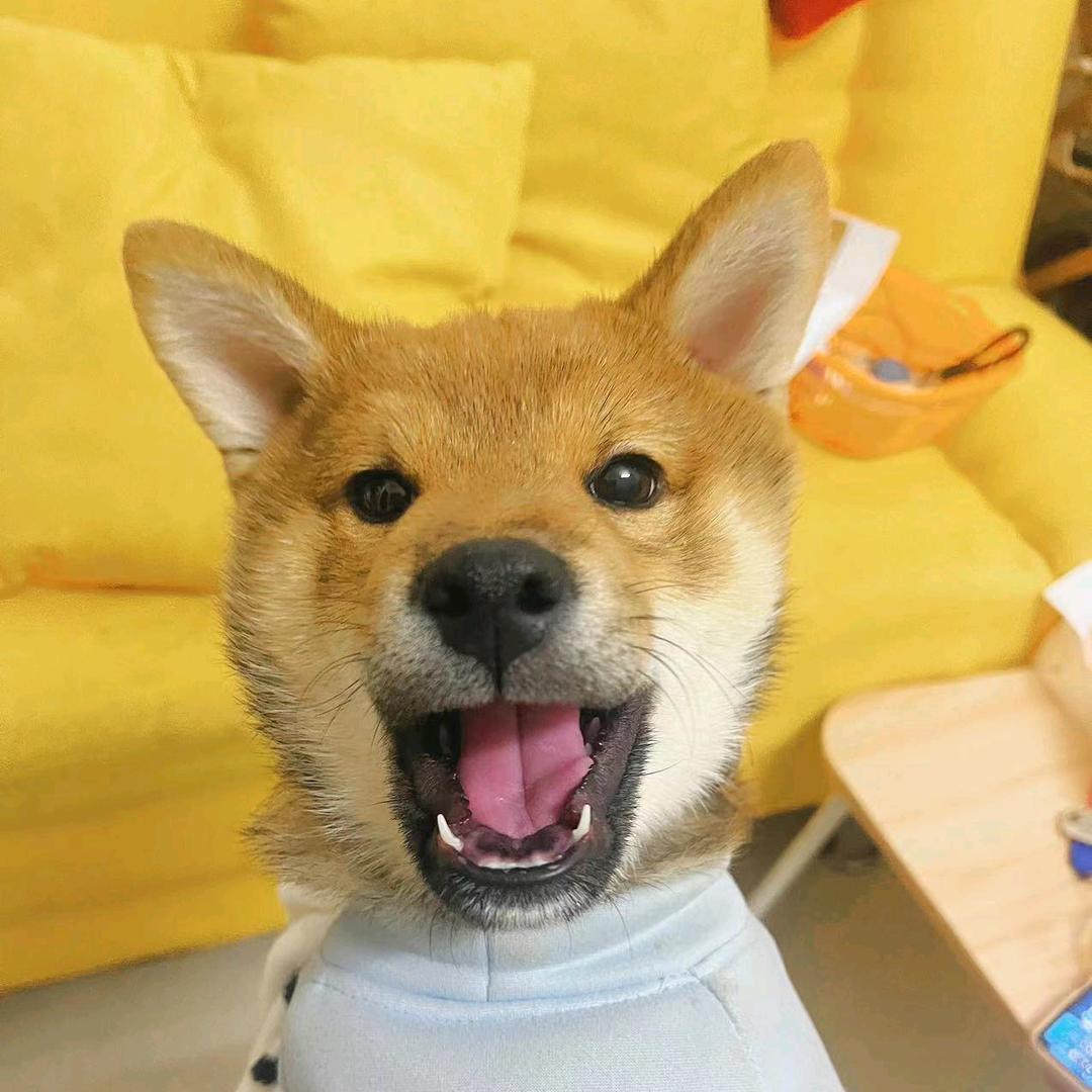 托清风捎去思念