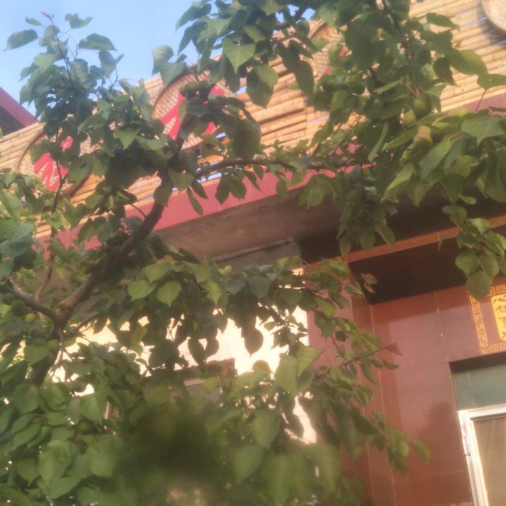 玲儿小宝贝