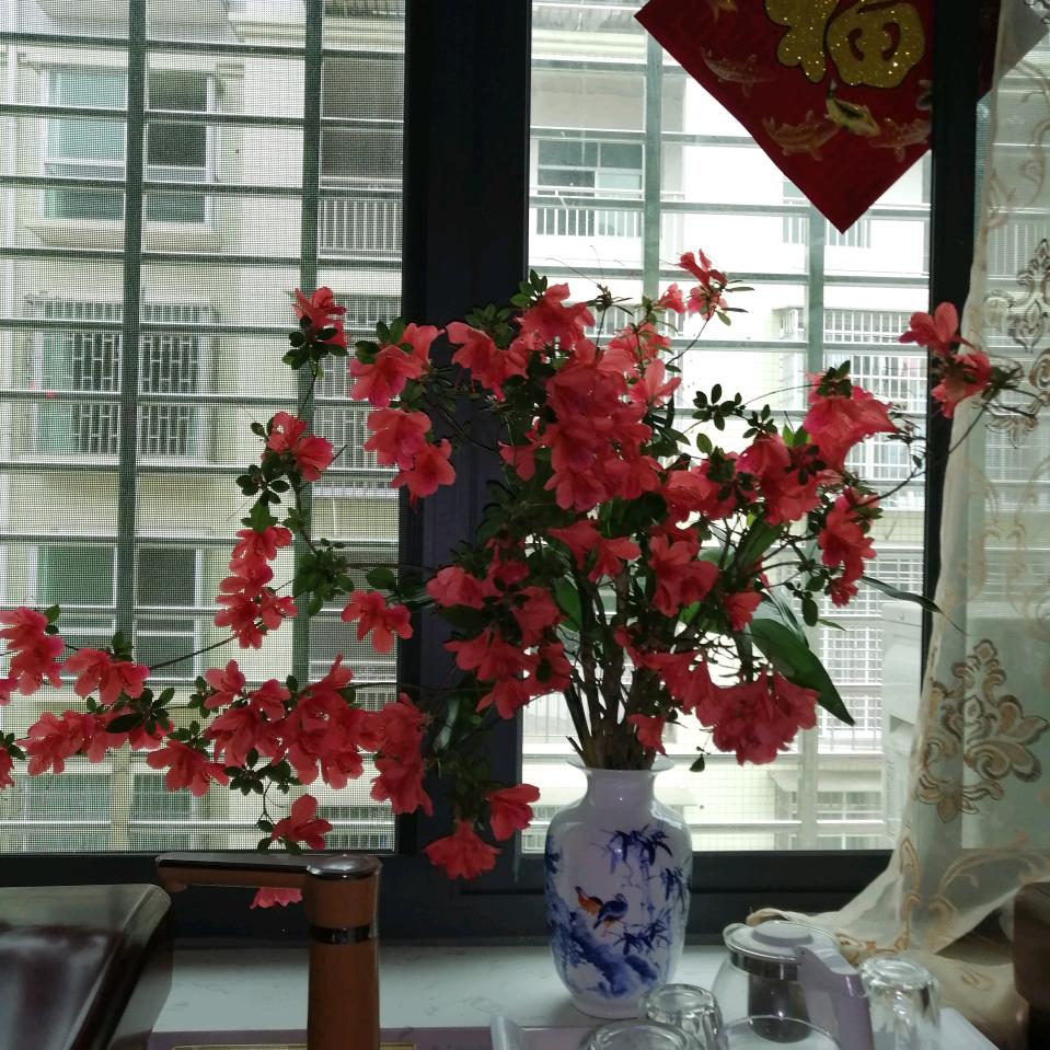 小阳