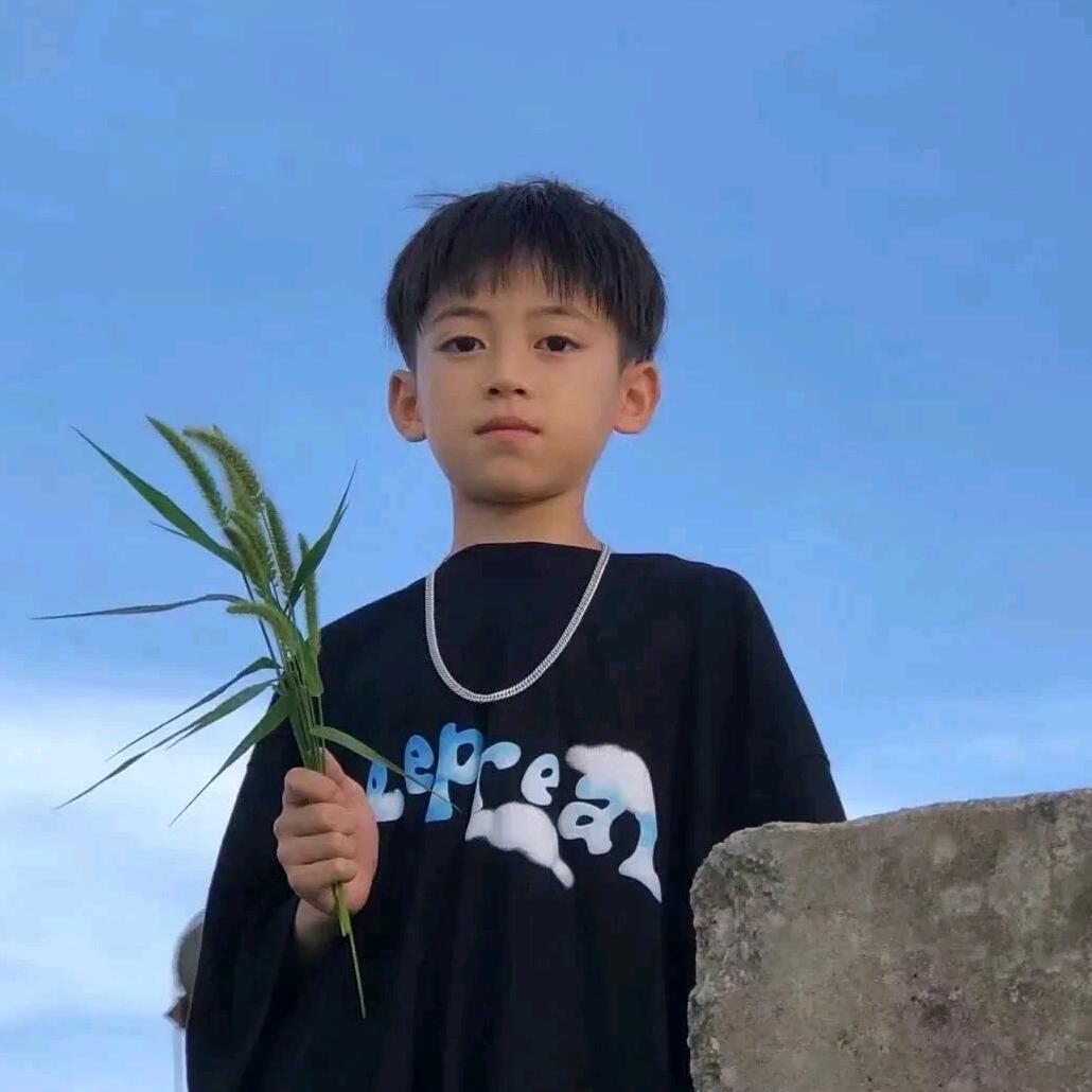 纯情牛肉干