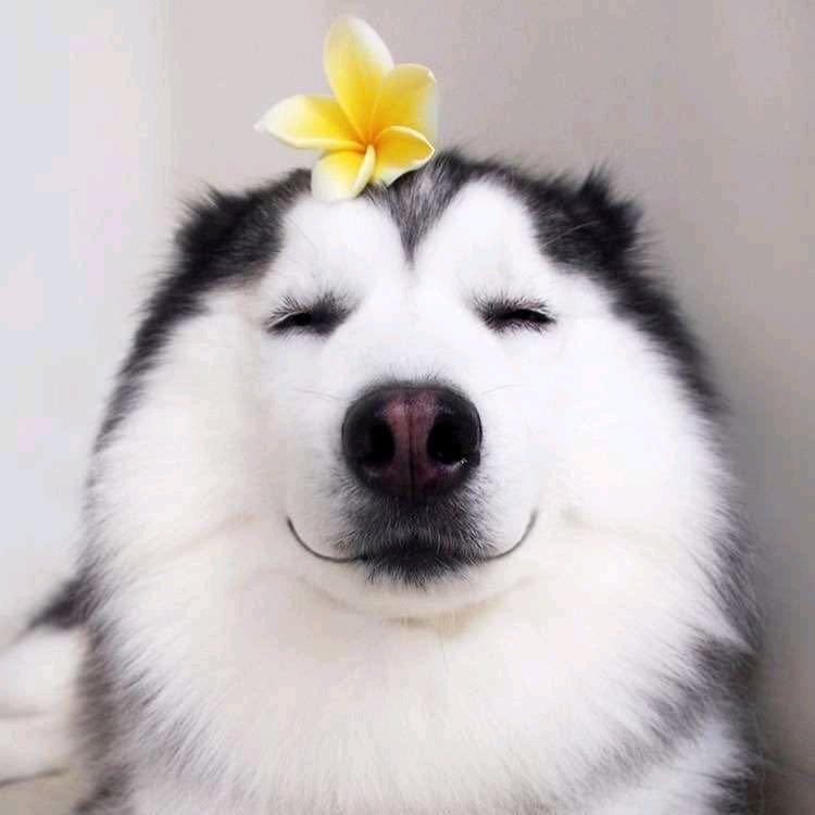 Mr苏铭