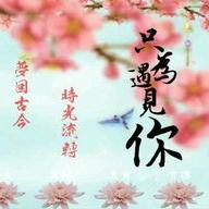 只为遇见你