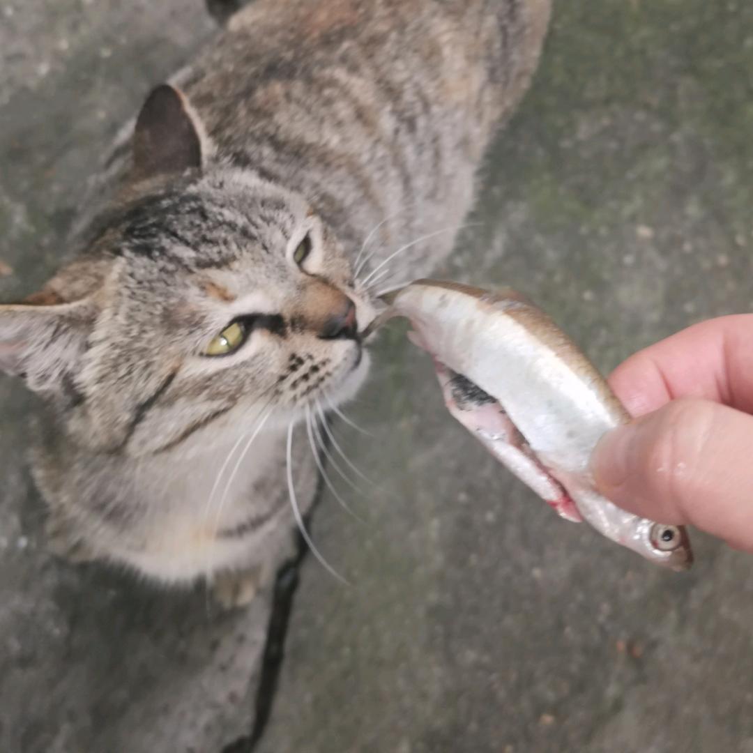 微笑不语