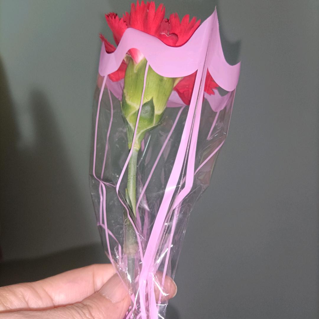 @🌸朝阳向上