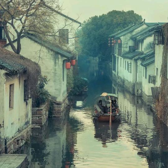 禾