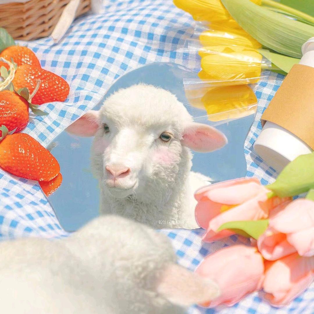 我不会再刷抖音