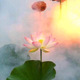 开心快乐，兵妈妈