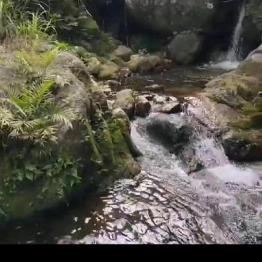 就想看表@