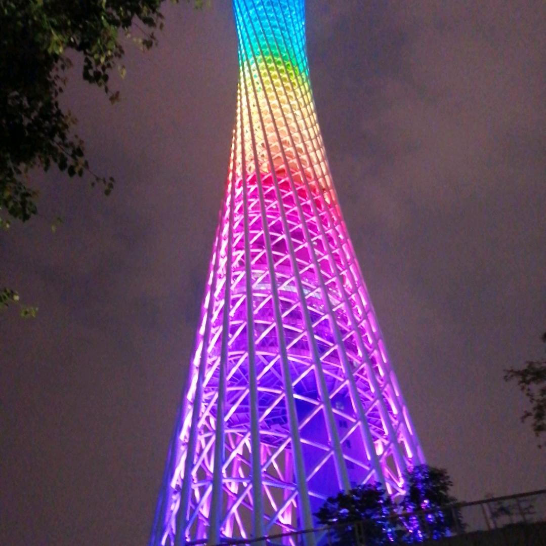 紫京花