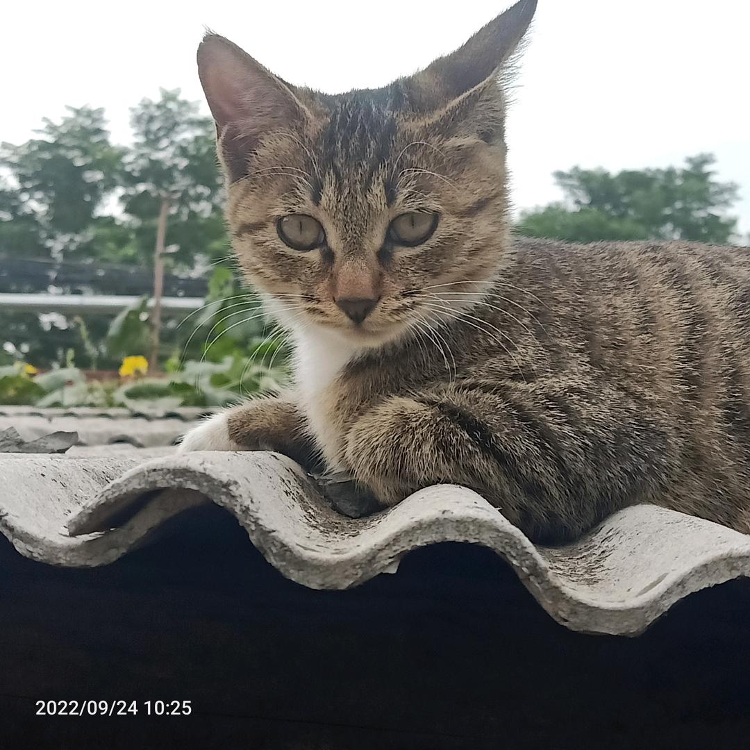 @ぷ爱以ぶ欠费、:)@