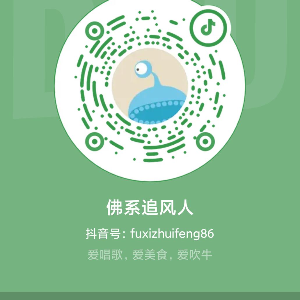 佛系追风人