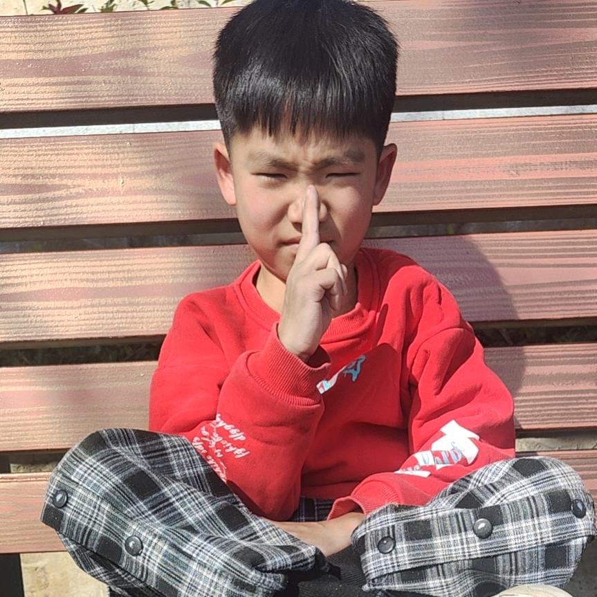 羊肉冲汤饸烙面