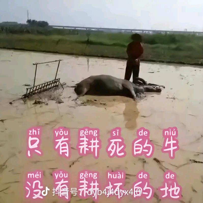 @朋友圈