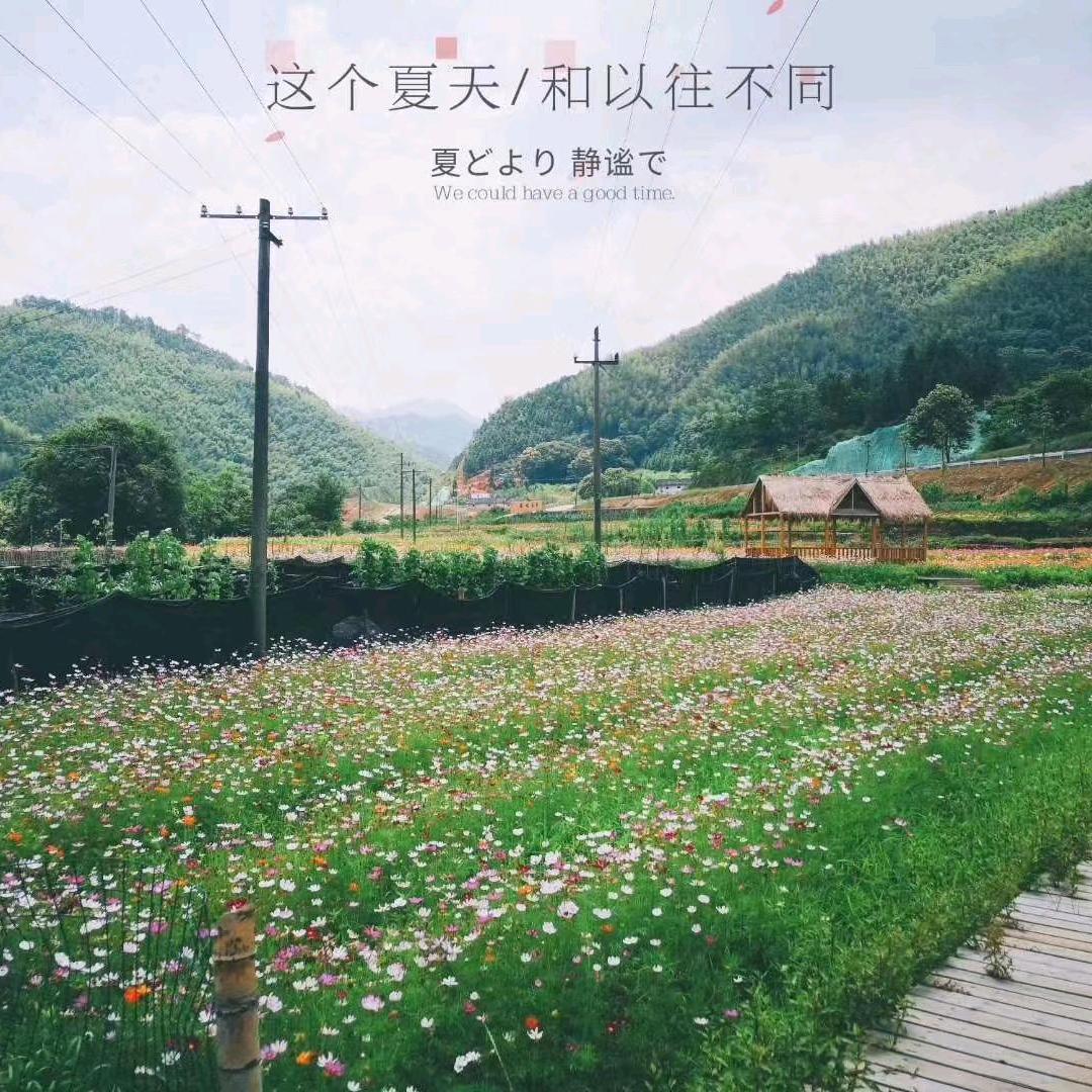 妍妍宝22