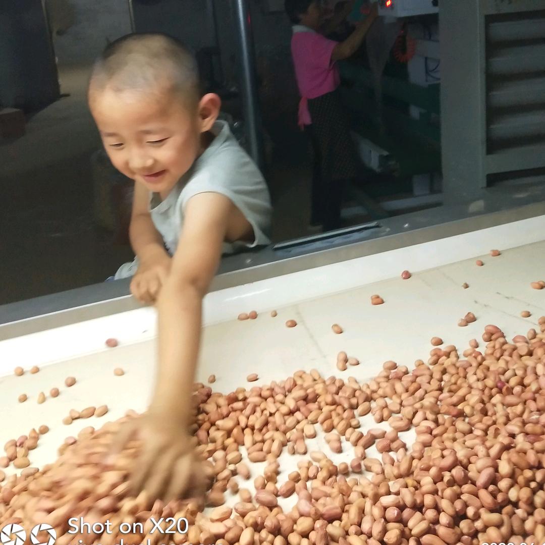 用户3017360162532花生米