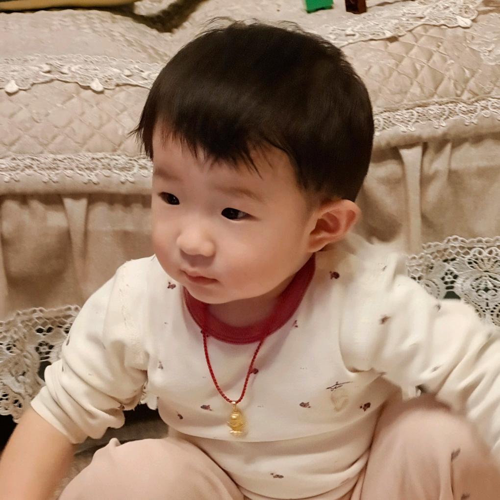 龙五先生