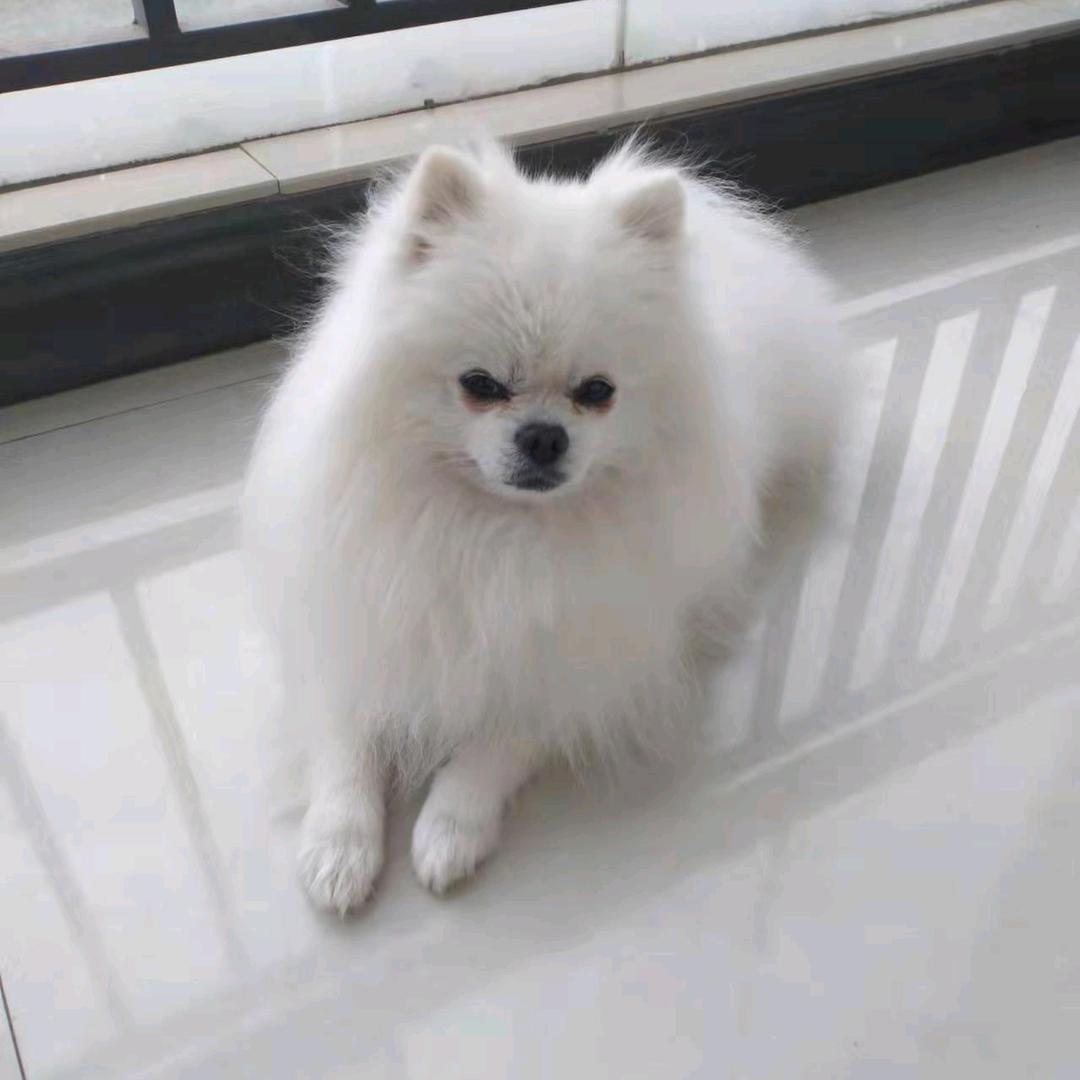 打工人