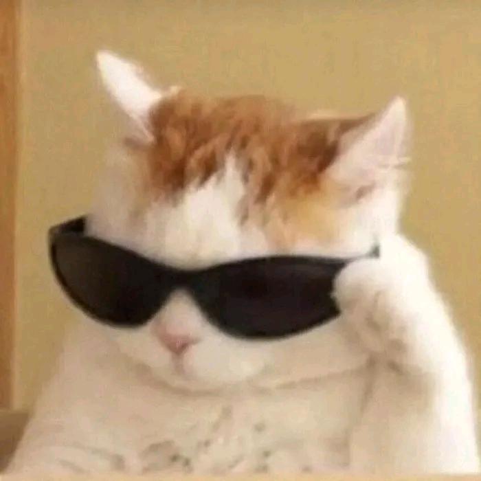 上个屁的班 上班最没劲了