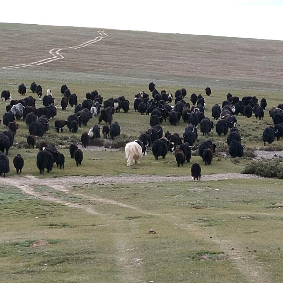 我还是永远的我