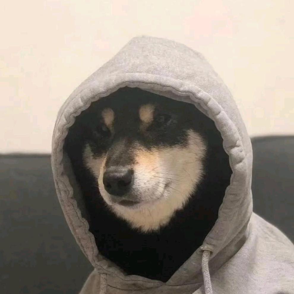 唯有晚风知云意