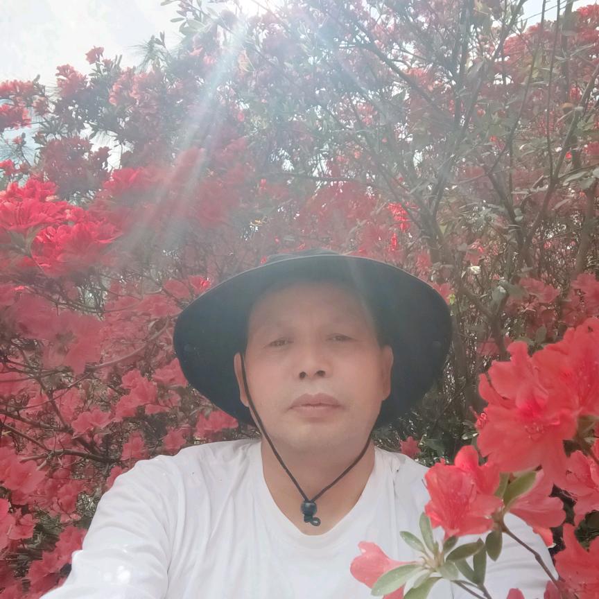 福福福