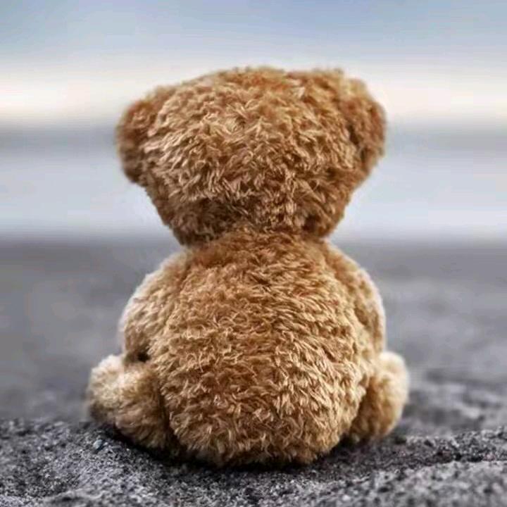 葱