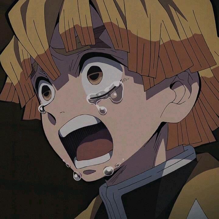 张君赫