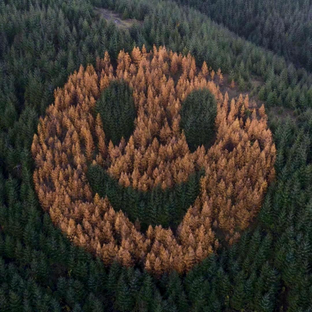 無
