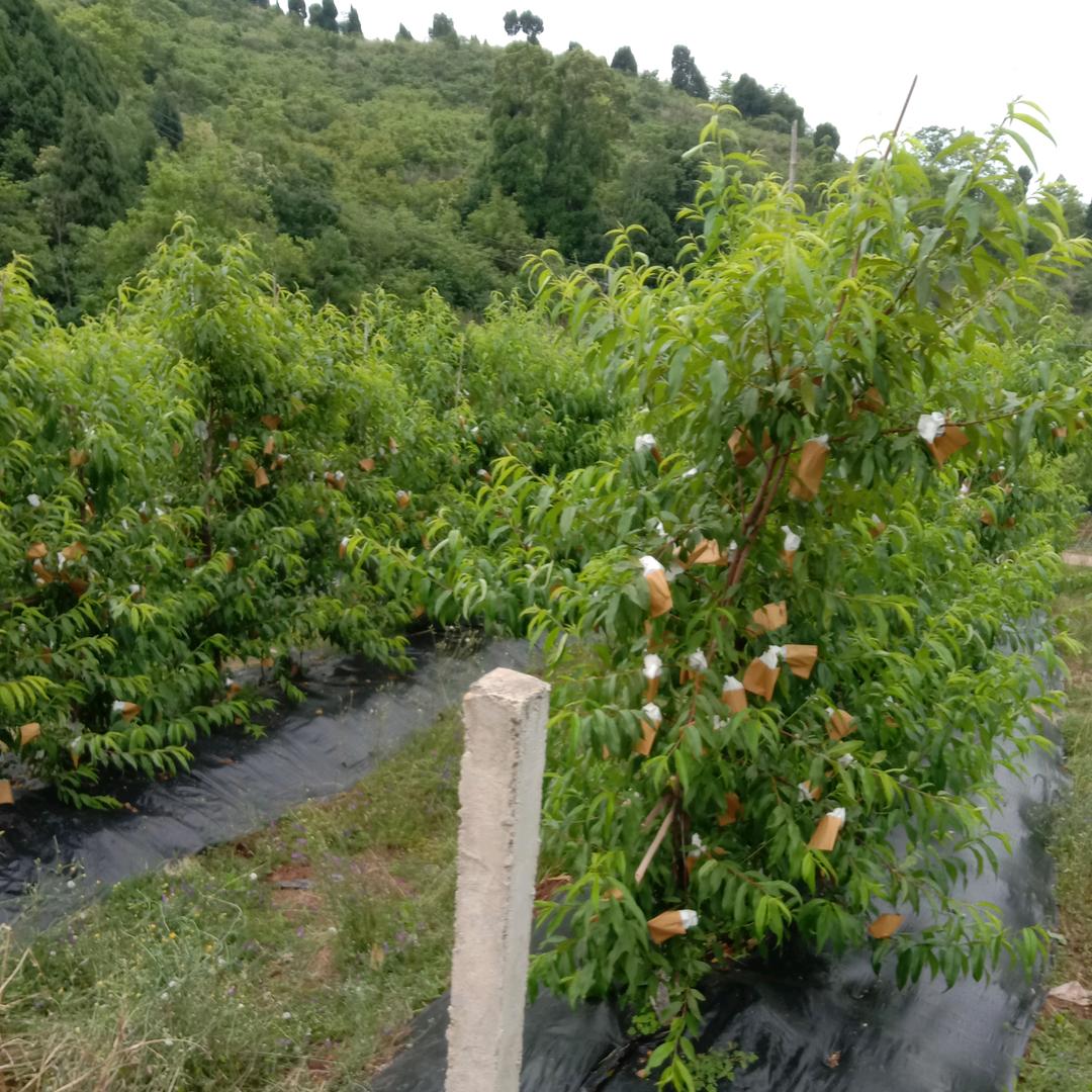 知足长乐