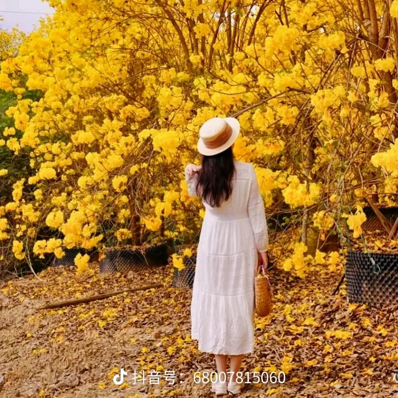 爱恨情仇