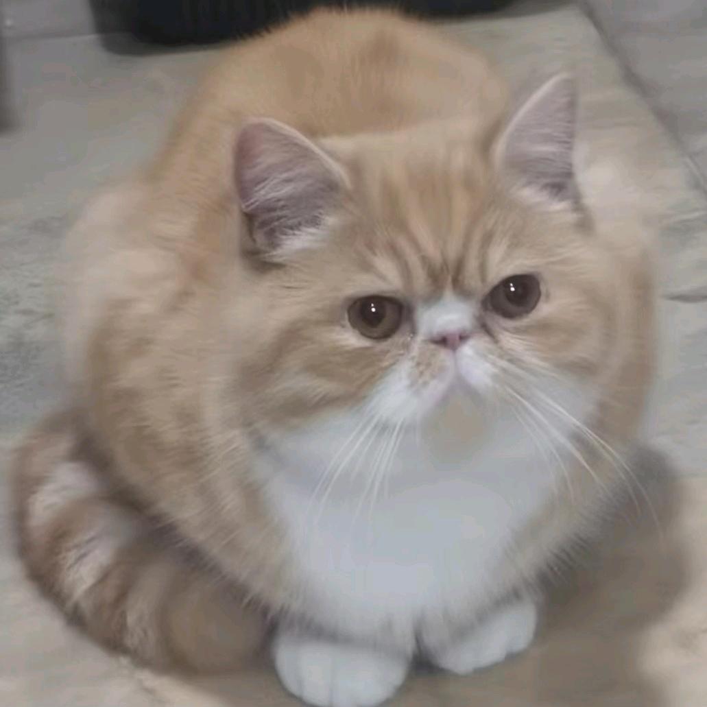 全愉快