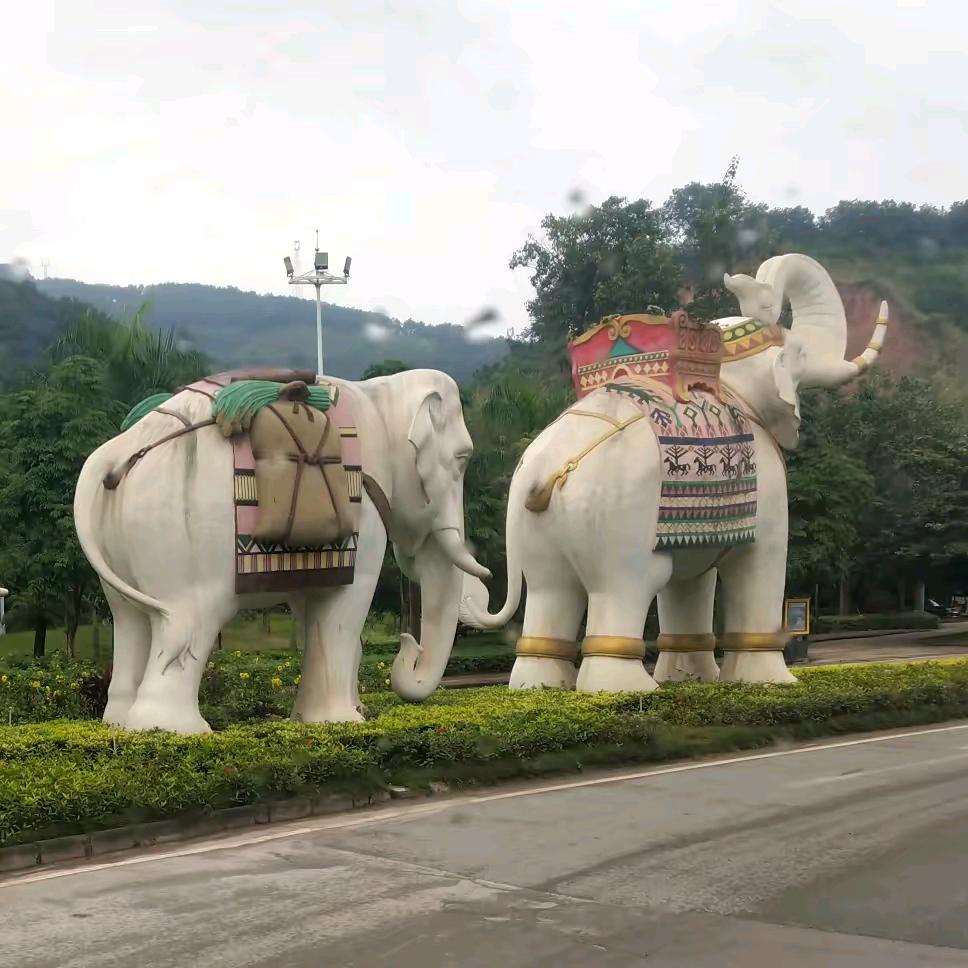 沉默寡言